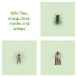 Raid Plant Based Fly Killer spray 300ml, imported from the UK