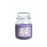 Prices English Lavender jar candle 340g, imported from the UK
