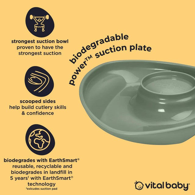 Vital Baby suction plate natural moss (British brand)