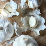 Natoora Large Spanish Garlic Bulbs, imported from the UK