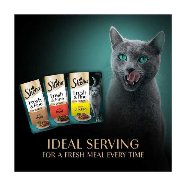 Sheba wet cat food pouches chicken, beef & duck 50 x 50g (British brand)