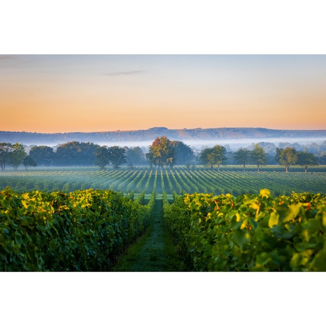 Nyetimber Classic Cuvee NV sparkling wine 75cl, imported from the UK