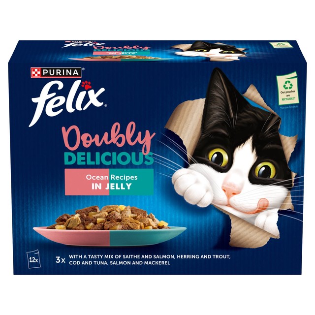 Felix wet cat food ocean recipes in jelly 12 x 85g - British product