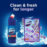 Domestos lavender toilet rim block - British product