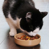 Mason Cash Cane cat saucer 13cm, imported from the UK