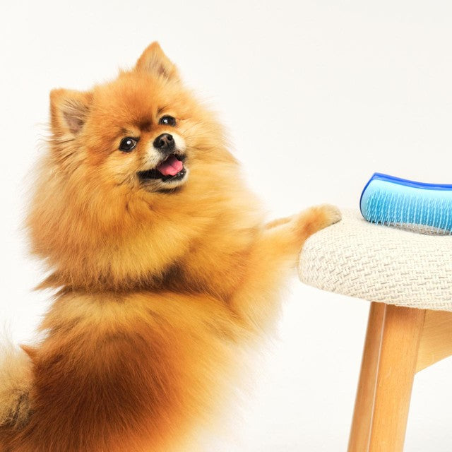 Tangle Teezer de-shedding brush for small dogs, imported from the UK