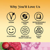 Twinings Cranberry & Raspberry fruit infusion tea 20 tea bags (British brand)