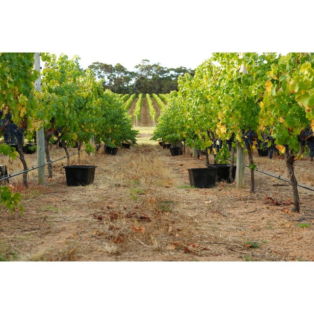 Robert Oatley Signature Series Chardonnay 75cl white wine, imported from the UK