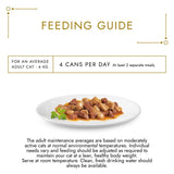 Gourmet Gold Chunks in Gravy cat food salmon chicken 85g, UK version