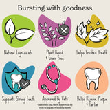 Forthglade Natural Grain-Free Plant-Based Dental Sticks 20 per pack - British product
