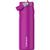 M&S Stanley IceFlow Flip Straw Tumbler 2.0 Violet Blossom 0.71L- Buy online at McGrocer