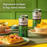 Gordon's Gin & Tonic premix 250ml can (British brand)