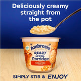 Ambrosia Cinnamon Porridge Pot 210g - British product