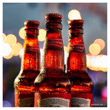 Budweiser lager beer cans 4 x 440ml - British product