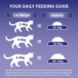 Purina One Senior Dry Cat Food Chicken 750g, imported from the UK
