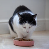 Mason Cash pink cat saucer 13cm, imported from the UK