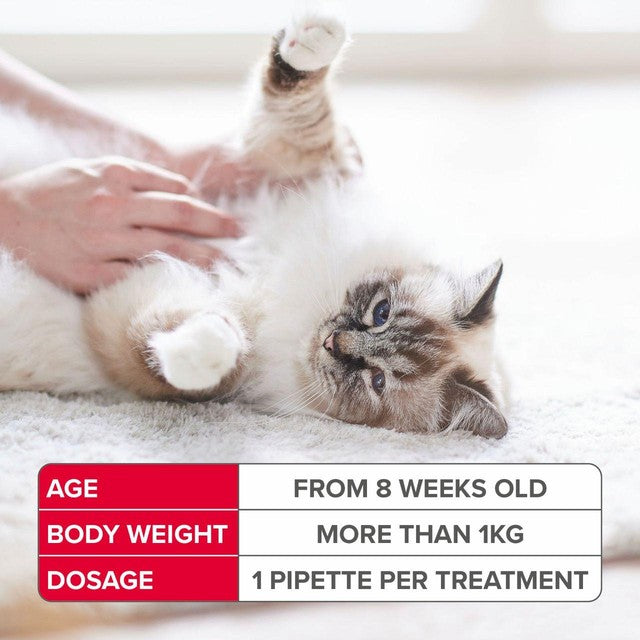 Beaphar FIPROtec Spot-On for Cats 6 pack - British product