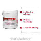 Canesten Canesbiotics oral probiotic supplement 30 capsules - British product