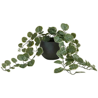 M&S M&S Artificial Trailing Eucalyptus in Ceramic Pot, Grey- Buy online at McGrocer