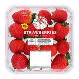 Fresas XL de M&S, fruta fresca, 400 g