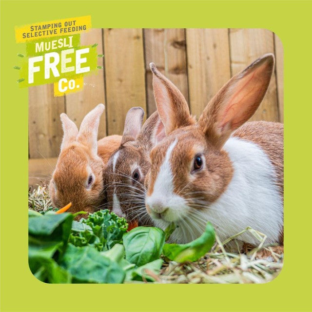 Burgess Excel adult rabbit food with mint 3kg - British product