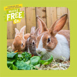 Burgess Excel adult rabbit food with mint 3kg - British product