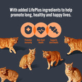 HiLife mature cat food variety pack with chicken and tuna in jelly 32 x 70g, UK version