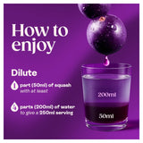 Ribena blackcurrant squash drink, UK version