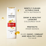 Pantene Colour Protect Shampoo bottle for coloured hair, imported from the UK