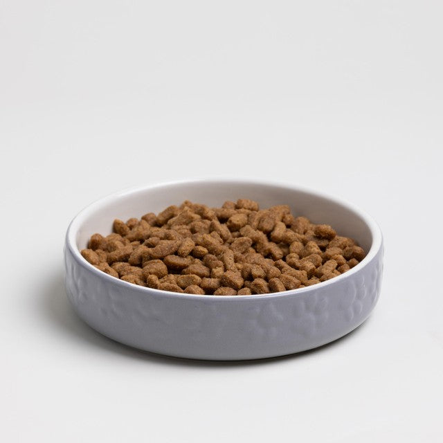 Mason Cash Colour Mix Grey cat saucer 13cm, imported from the UK