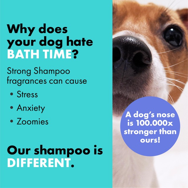 DotDotPet Battersea conditioning puppy shampoo 280ml (British brand)