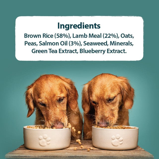 Burns dry dog food lamb and brown rice 2kg - British product