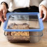 Pyrex Zero Plastic glass storage container 0.8L, imported from the UK