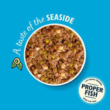 Lily's Kitchen Fish and Chips wet dog food (British brand)