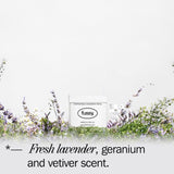 Fussy Lavender Fields refillable natural deodorant, UK version