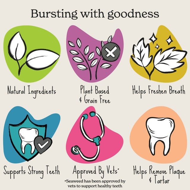 Forthglade Natural Grain-Free Plant-Based Dental Sticks 5 per pack - British product