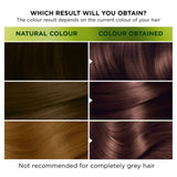 Garnier hair dye 4.15 Iced Coffee, UK version