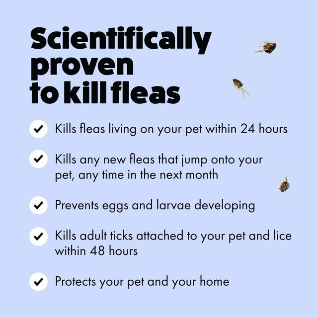 Itch Flea XL Dog spot-on treatment 40kg+, UK version