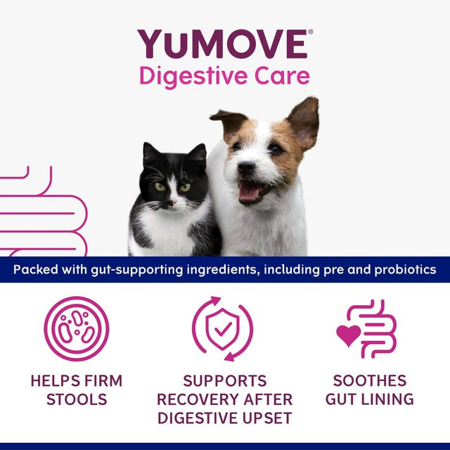 YuMOVE digestive support rapid paste for cats and dogs, UK version