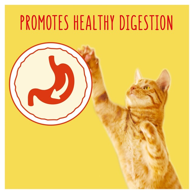 Go-Cat chicken and turkey dry cat food 750g, UK version