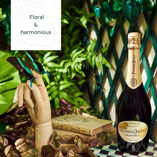 Perrier-Jouët Grand Brut Non-Vintage Champagne half bottle 37.5cl, imported from the UK