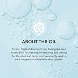 Tisserand Eucalyptus Organic Pure Essential Oil 20ml (British brand)