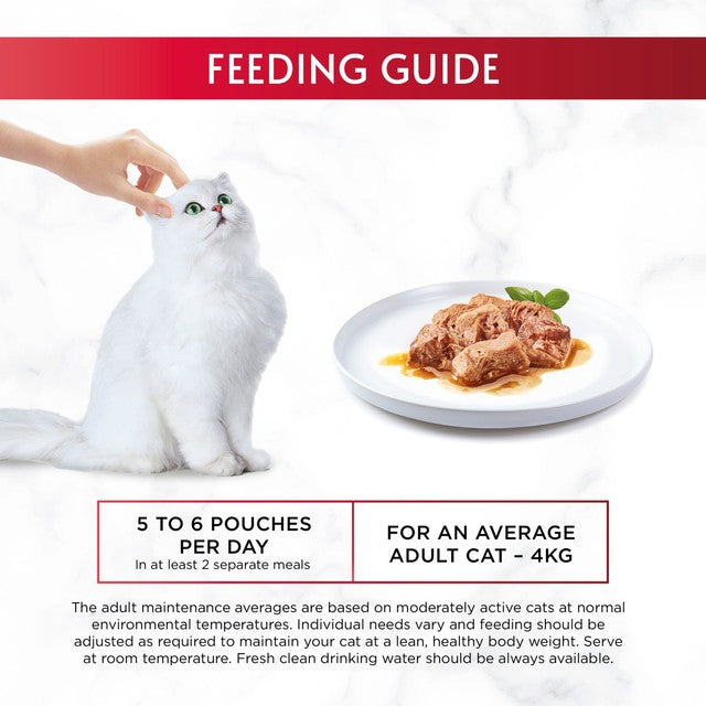 Gourmet Mon Petit wet cat food variety pack - British product