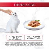Gourmet Mon Petit wet cat food variety pack - British product