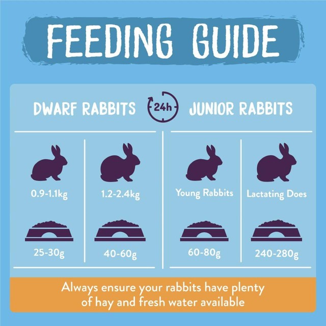 Burgess Junior and Dwarf Rabbit Food 3kg - British product