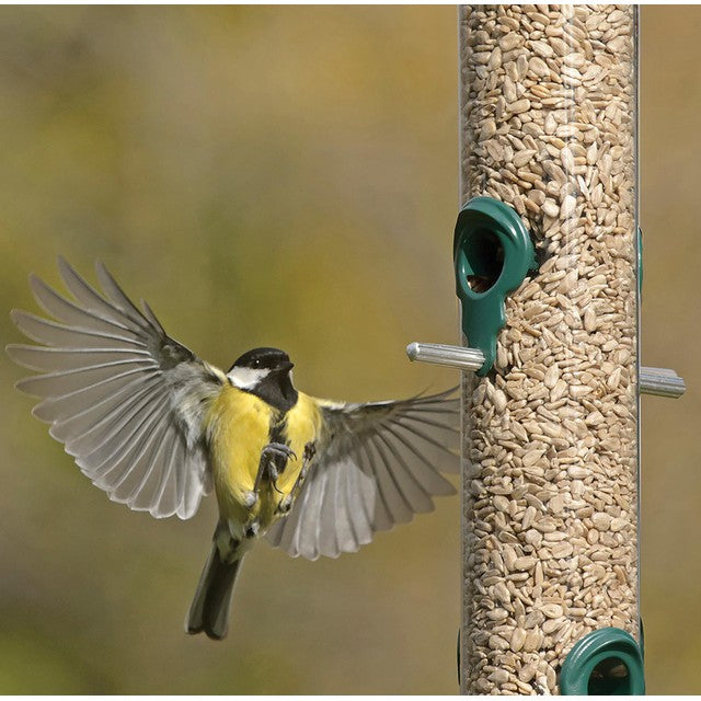 RSPB Sunflower Hearts Garden Bird 900g, imported from the UK