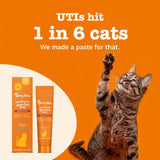 Zesty Paws urinary care cat paste, UK version