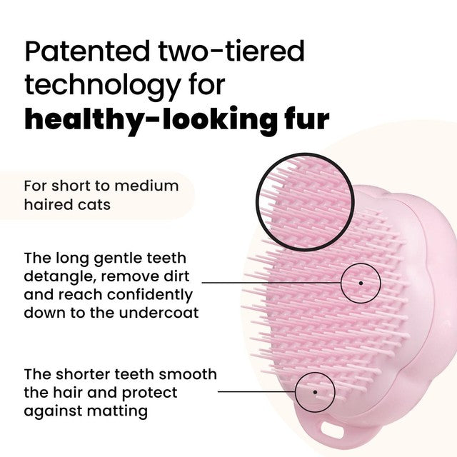 Tangle Teezer cat brush pink for short to medium fur, UK version