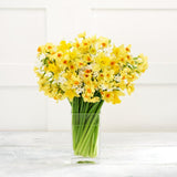 Sainsburys Daffodil Bouquet