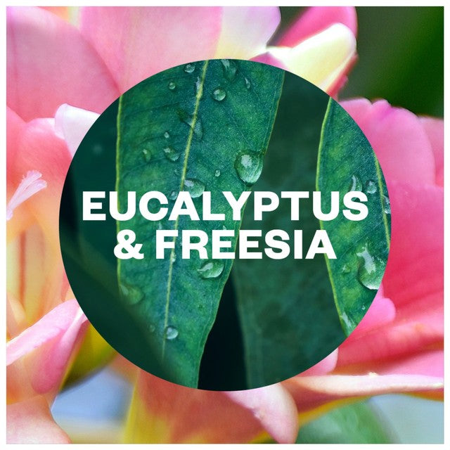Airwick eucalyptus air freshener refill 228ml - British product